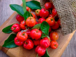 Acerola właściwości