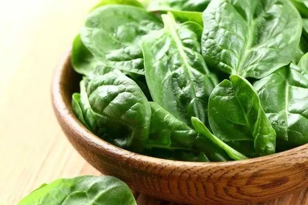 witamina k zastosowanie